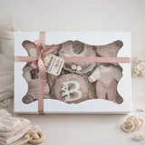 Caixa Chá de Bebê Rosa com Bolachas de Especiarias Decoradas — Kit 6 Unidades - Imagem 3